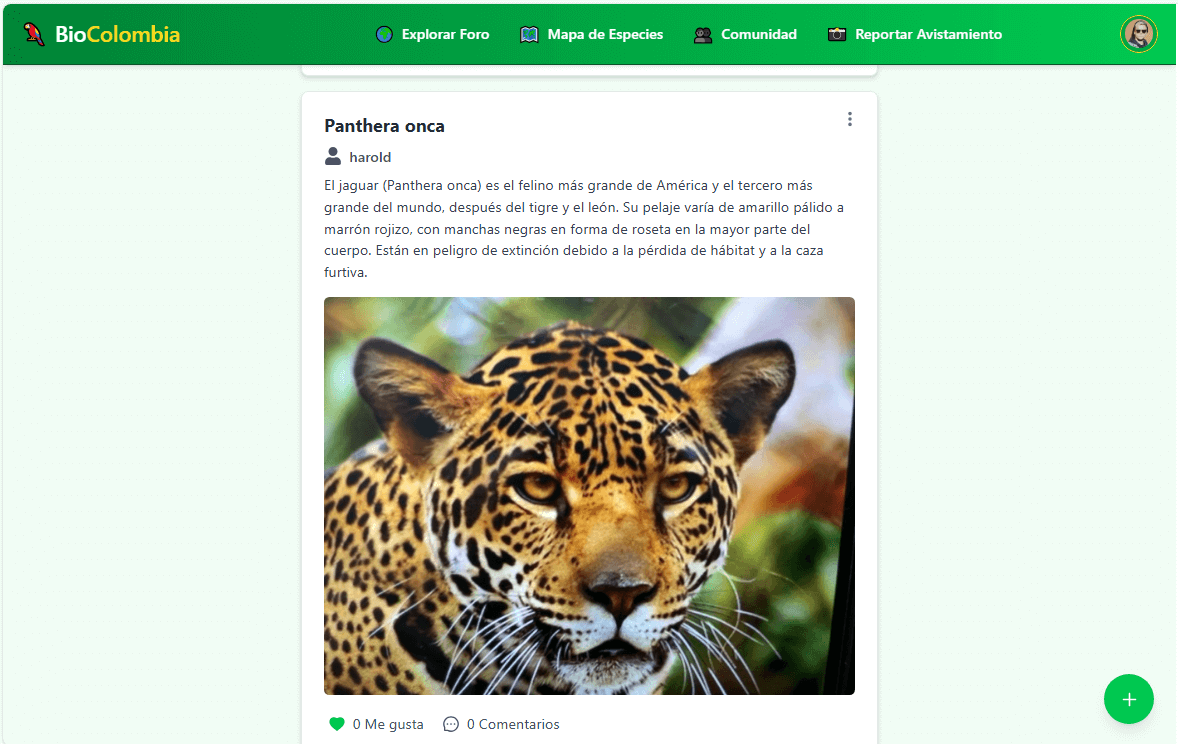Web de Información de Animales Project by Samuel Ortiz Ospina